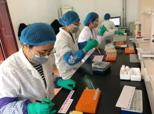 威海文登區(qū)畜牧獸醫(yī)技術服務中心 靠前服務保穩(wěn)產 技術服務促發(fā)展